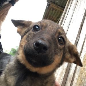 Meet your Posher, Lena